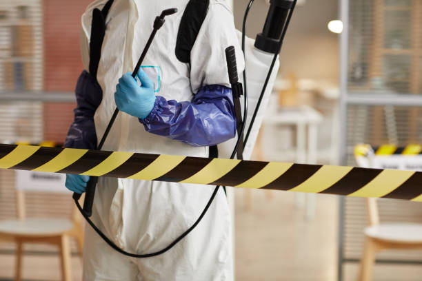 Professional Hoarding Cleanup technician working in Whitelaw, WI
